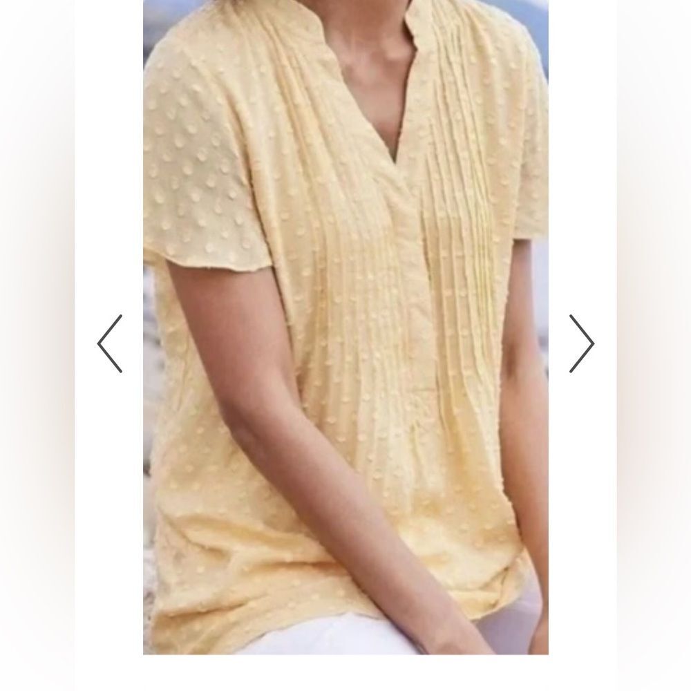 Soft Surroundings yellow short sleeve Swiss dot pullover ‘Offshore Top’ medium - Picture 5 of 13